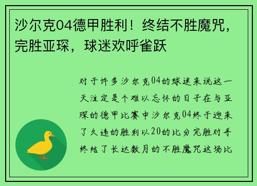 沙尔克04德甲胜利！终结不胜魔咒，完胜亚琛，球迷欢呼雀跃